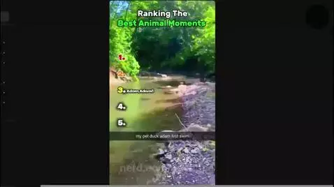Video by liashope