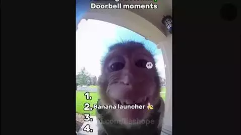 Video by liashope