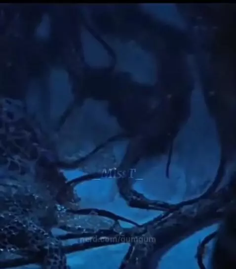 Nancy finds barb by gumgum