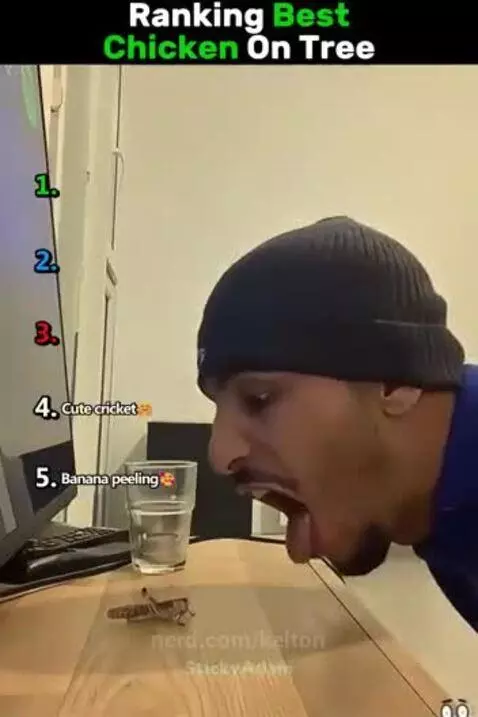 #meme #video #funny by kelton