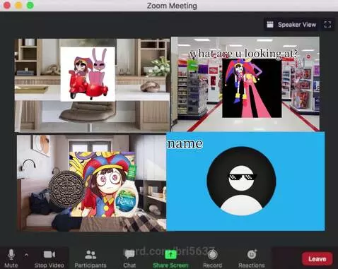Video by bri5637