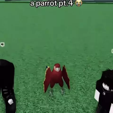 Video by bri5637