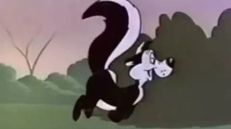Pepe le pew - Where are you my sweet catalog of love! by pepelepewfan
