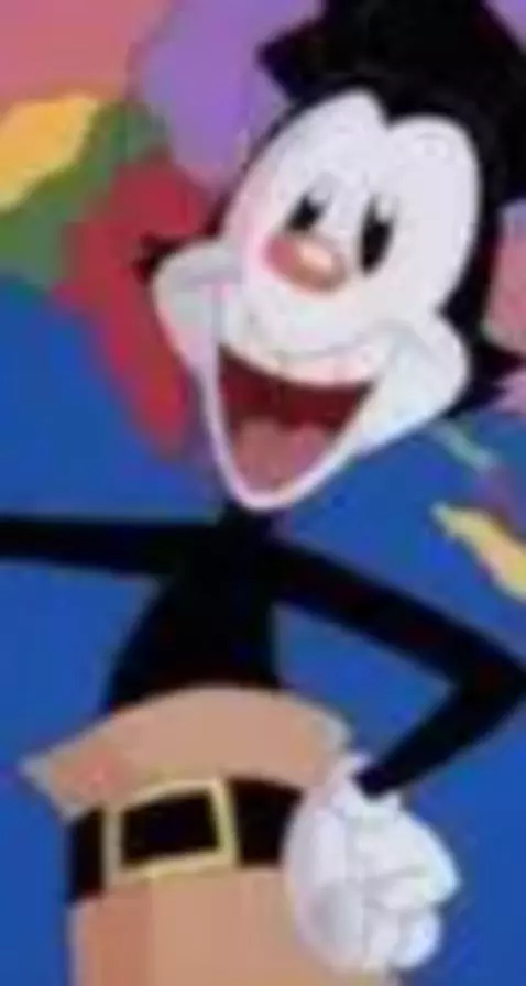 Animaniacs - Yakkos world (1993) by pepelepewfan