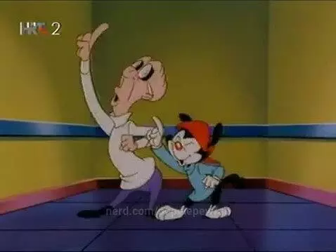 Animaniacs kompilacija pjesama o usponima i padovima by pepelepewfan