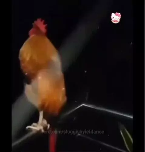 me when i wake up by sluggishyieldance