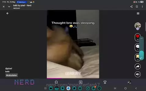 Yall i did this to my dog once... by monsterfan67