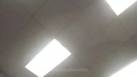 FOLLOW ME by hermine