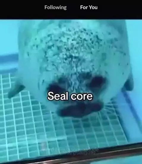 This is not mine. Check the original for the full video by anormaldude