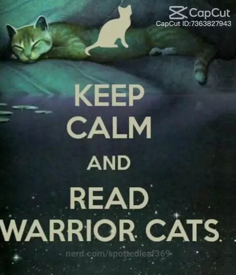 warriors by spottedleaf369
