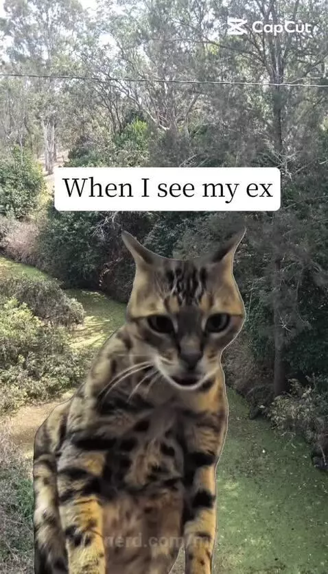 me when i see my ex by mjk