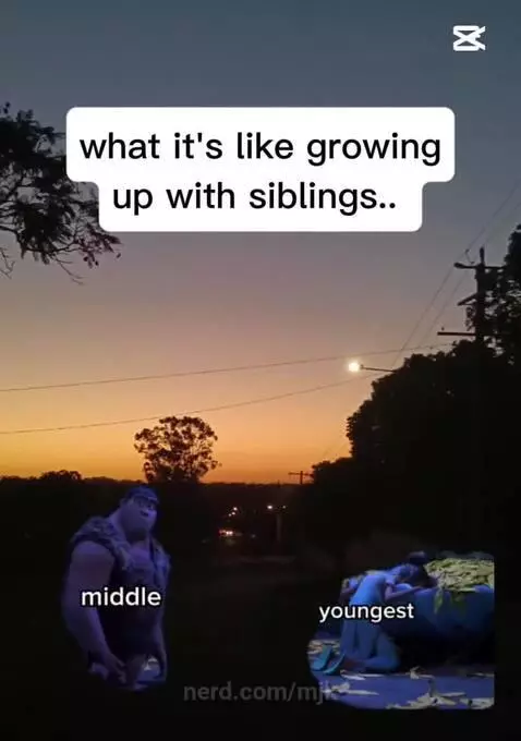 What it's like having siblings (I'm the oldest) by mjk