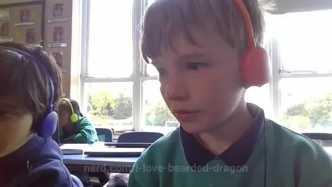 Video by i-love-bearded-dragon