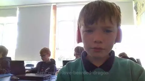 Video by i-love-bearded-dragon