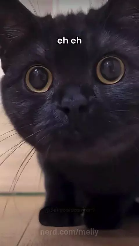 Video by melly