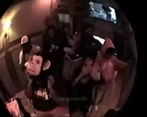 Video by lilr