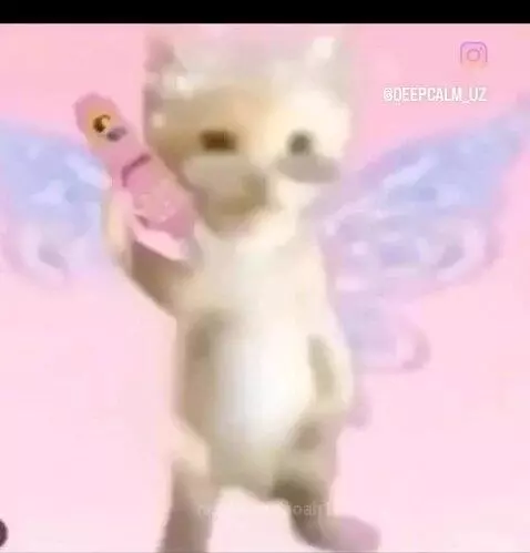 Video by noah1