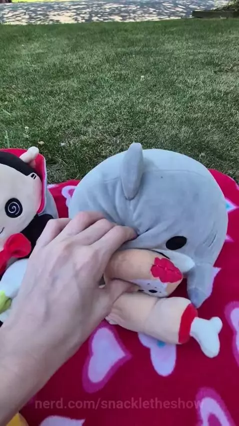 Part 1 if picnic by snackletheshow
