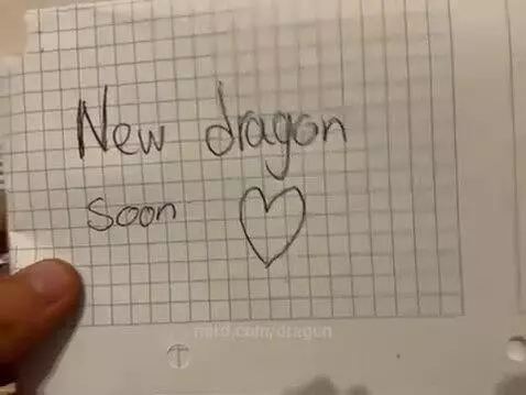 New dragon 🍄🍄🍄‍🟫🍄‍🟫🍄 by dragon