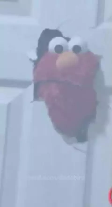 Video by dodobird