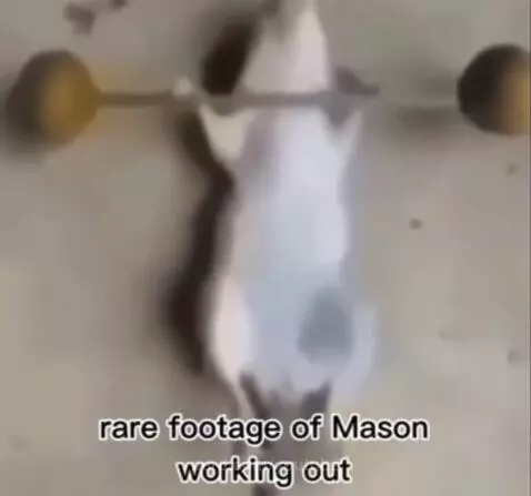 This footage is so rare by youtube