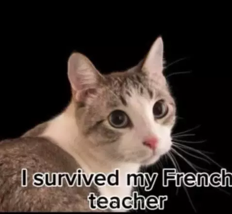 I survived..... LIFE by youtube
