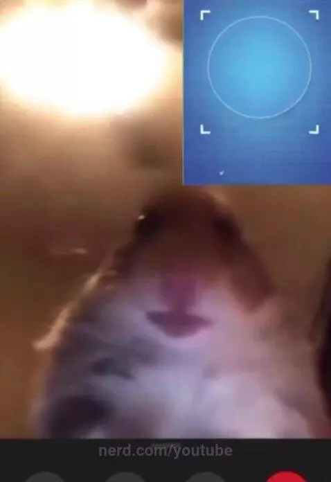 It called privacy vro by youtube