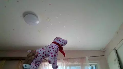 Danny dog and Suzie sheep fight by roumah