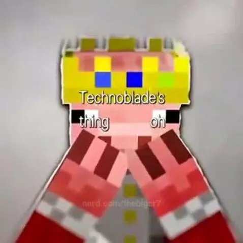 Technoblade (real name Alex; June 1, 1999 – June 2022) was a... by thebigcr7