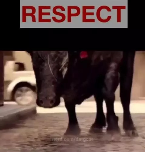 Video by da-goat