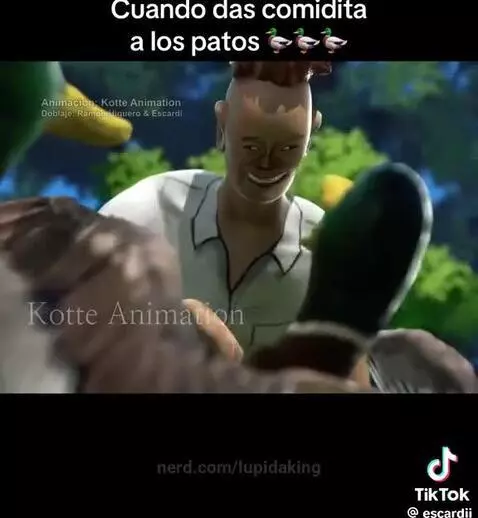 Video by lupidaking