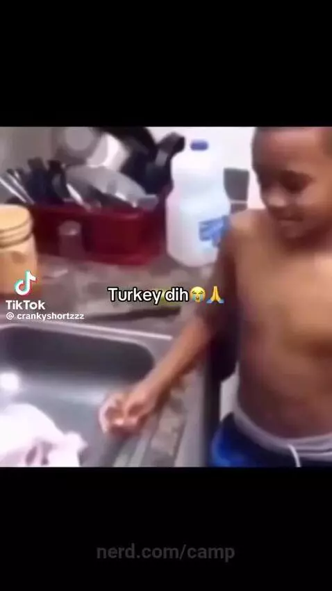 Video by camp