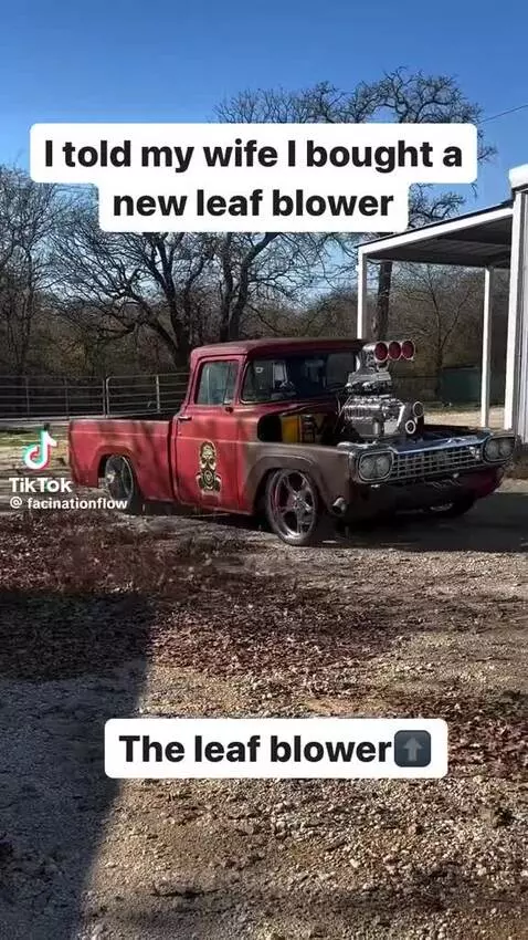 Video by camp