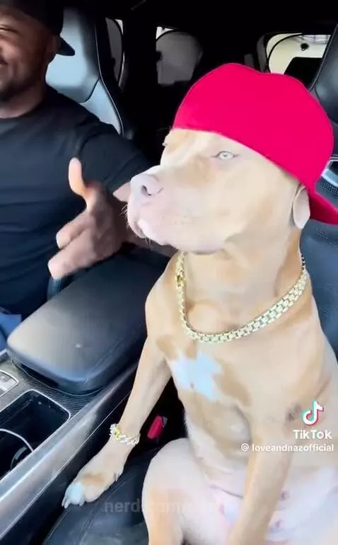 Video by camp