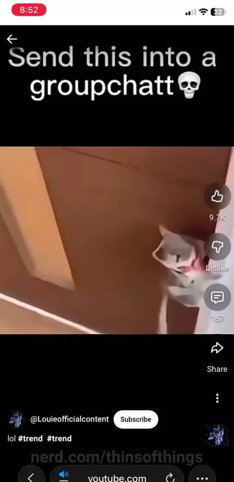 Video by thinsofthings
