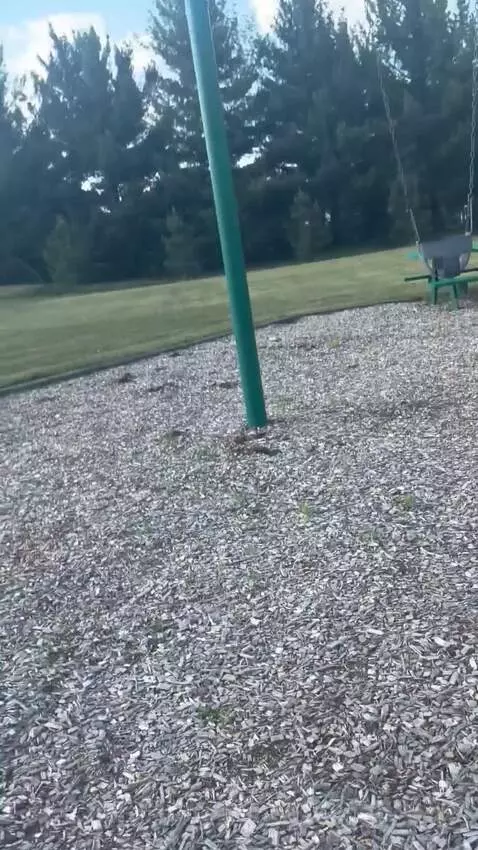 Video by thinsofthings