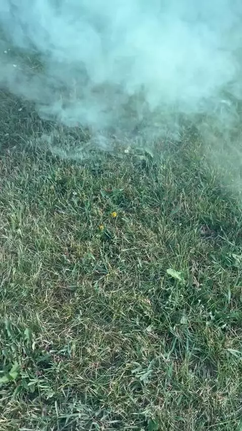 Smoke by thinsofthings