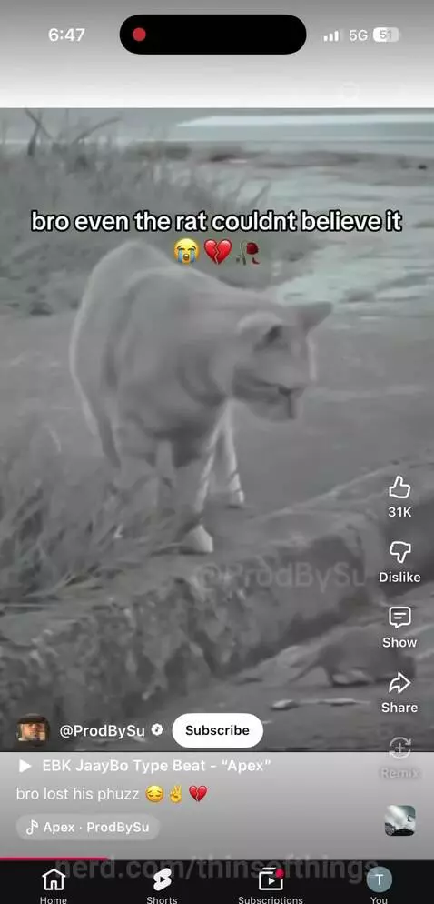 Video by thinsofthings