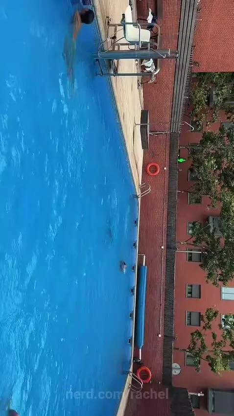 pool day by rachel