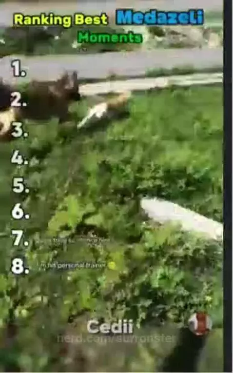 Video by surronster