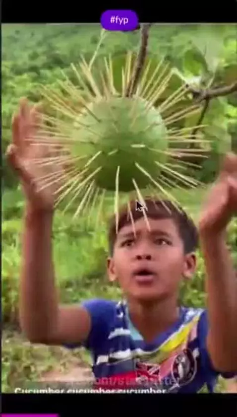 Video by surronster