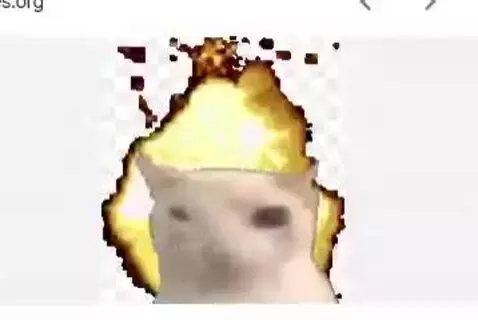 Video by owenn