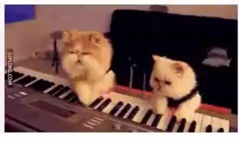 Video by owenn
