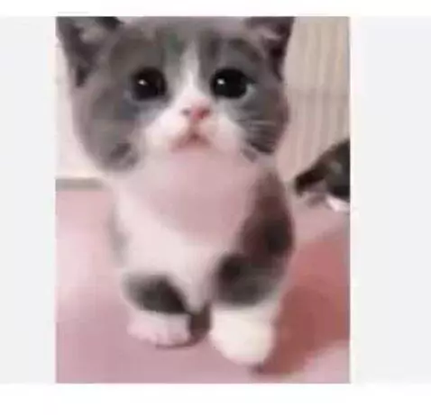 Video by owenn