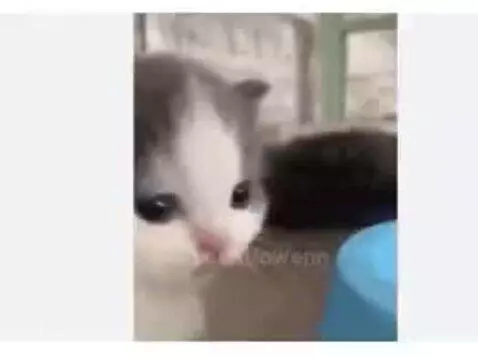 Video by owenn