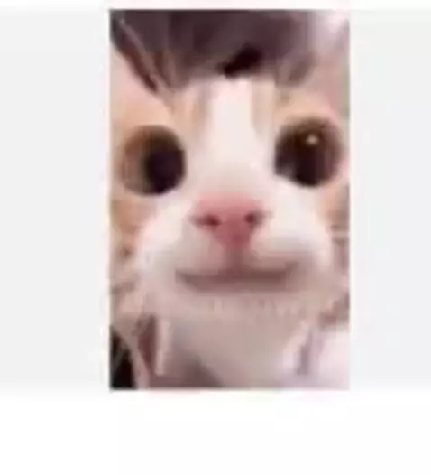 Video by owenn