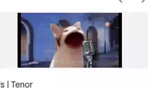 Video by owenn