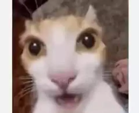 Video by owenn