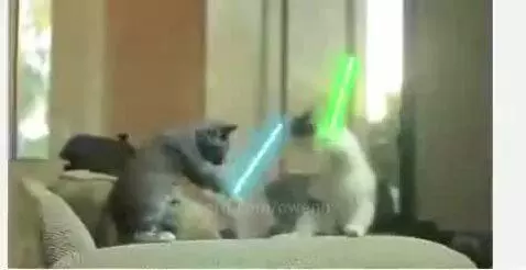 Video by owenn