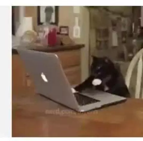 Video by owenn